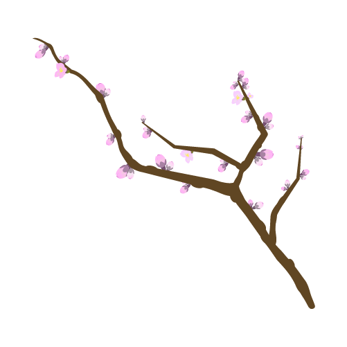 蕾が多い桜の枝のイラスト