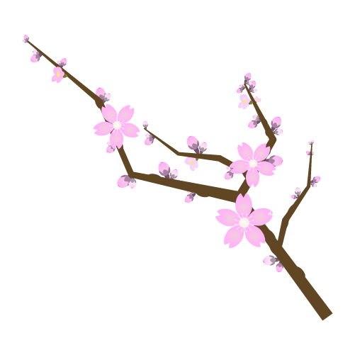 満開の桜の枝のイラスト2