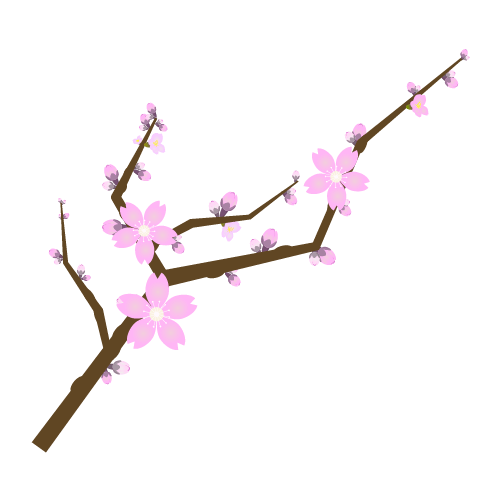 満開の桜の枝のイラスト3