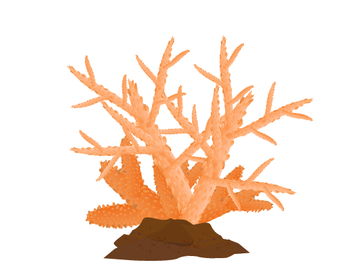オレンジの珊瑚のイラスト