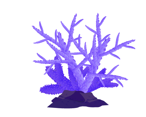 青紫の珊瑚のイラスト