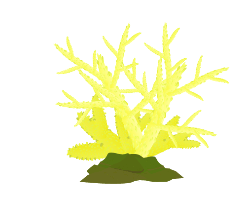 黄色い珊瑚のイラスト