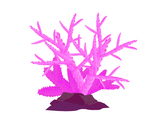 ピンク・マゼンタの珊瑚のイラスト