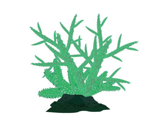 緑の珊瑚のイラスト