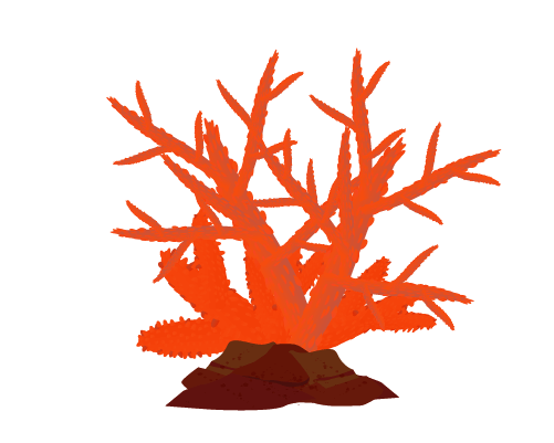 赤・朱色の珊瑚のイラスト