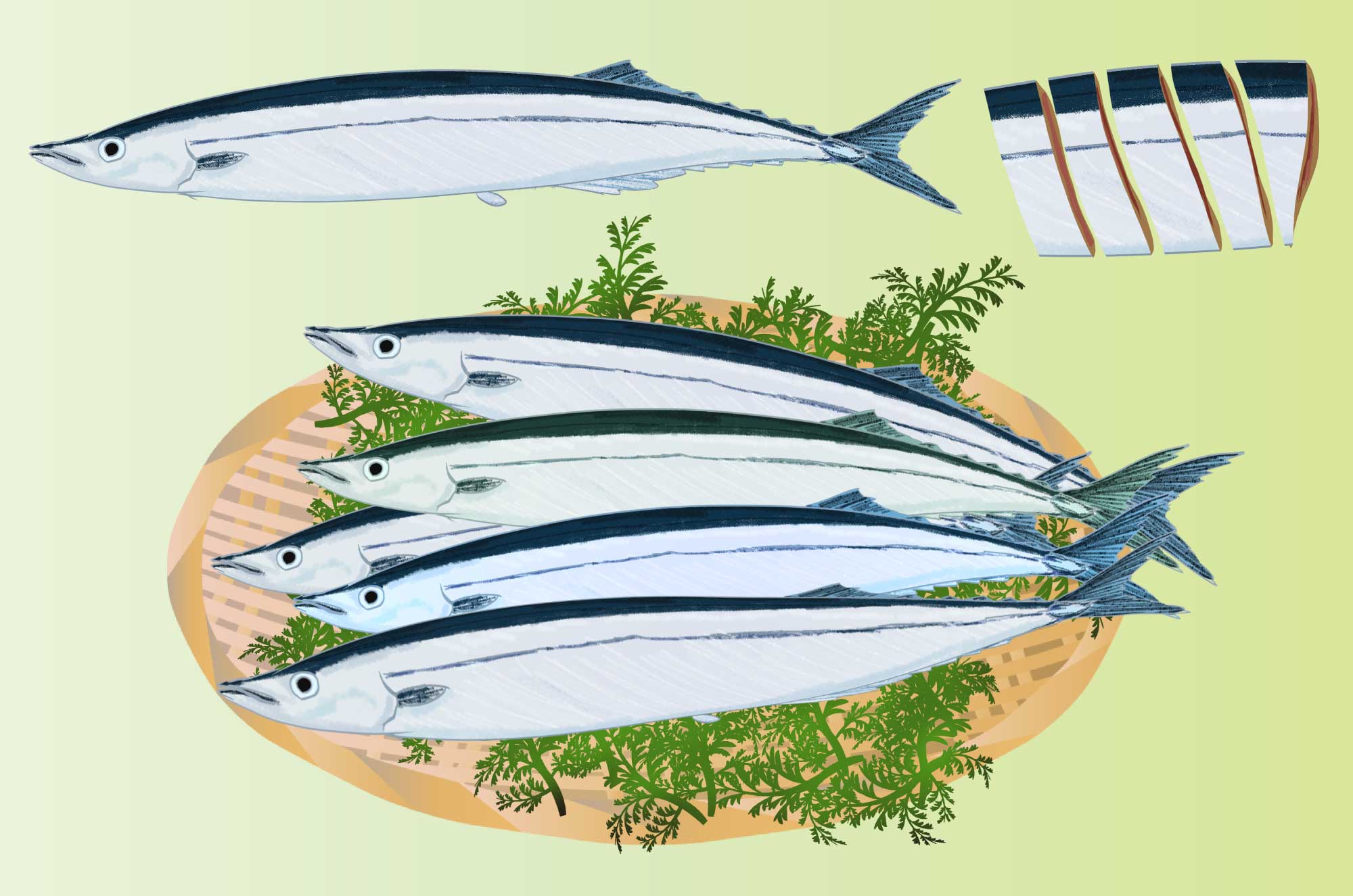 サンマ 秋刀魚 の無料イラスト 美味しそうな魚素材 チコデザ