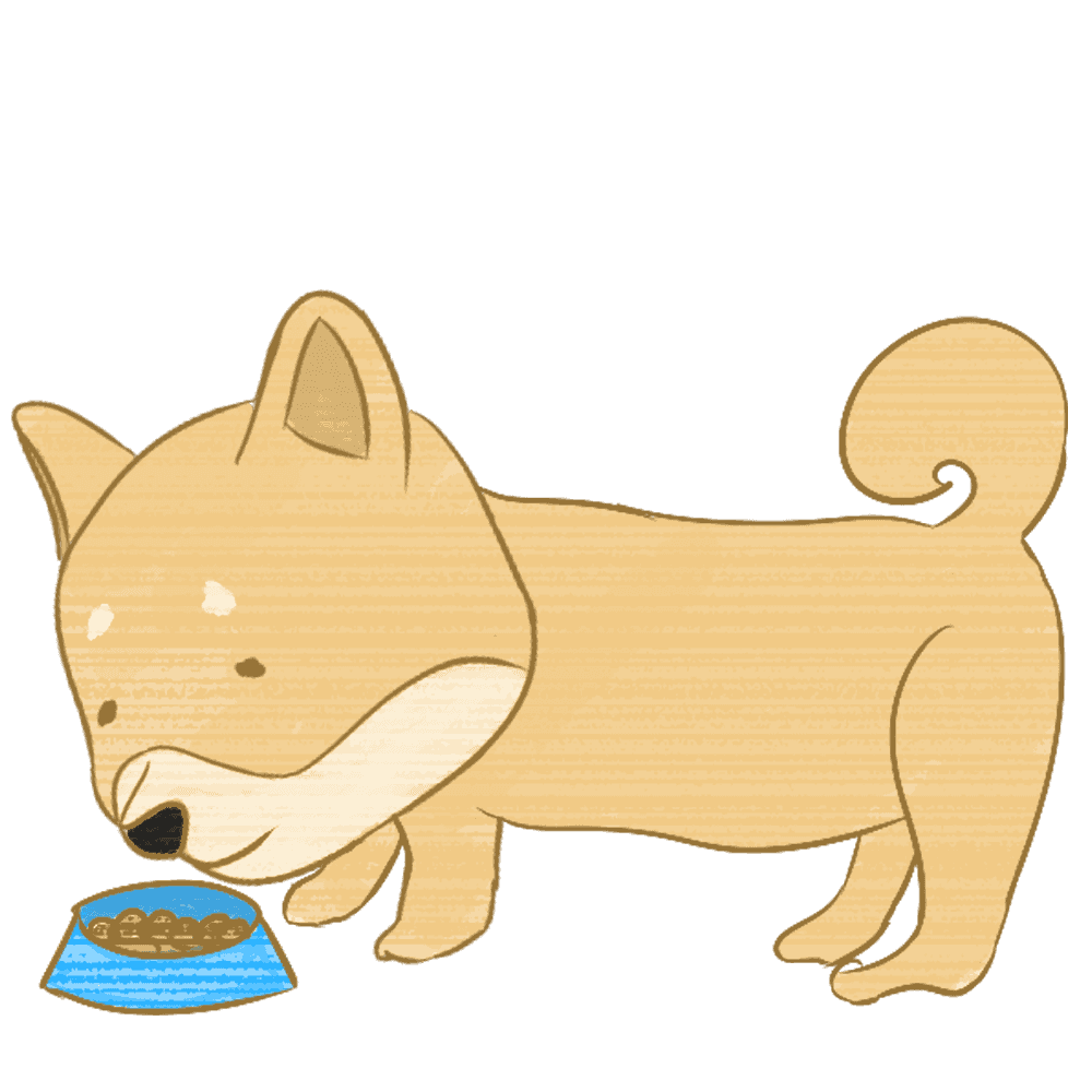 ドックフードを食べる柴犬イラスト