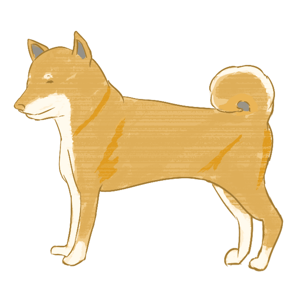 動物画像のすべて 最新のhd柴犬 イラスト リアル