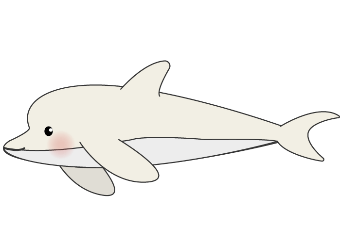 白イルカのイラスト