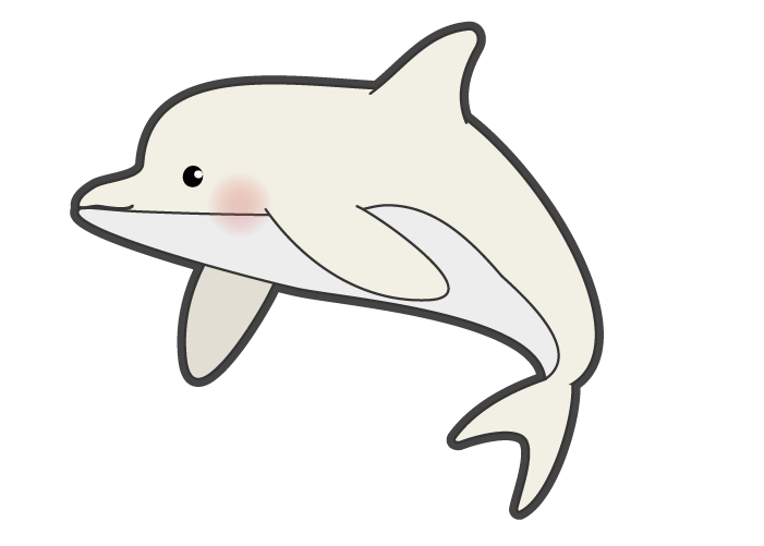 かわいい白イルカのイラスト