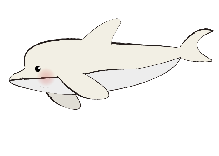 手書き風白イルカのイラスト