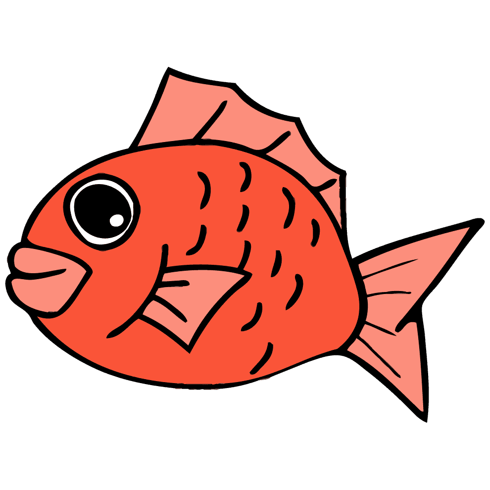 鯛イラスト かわいい リアルタッチの魚フリー無料素材 チコデザ