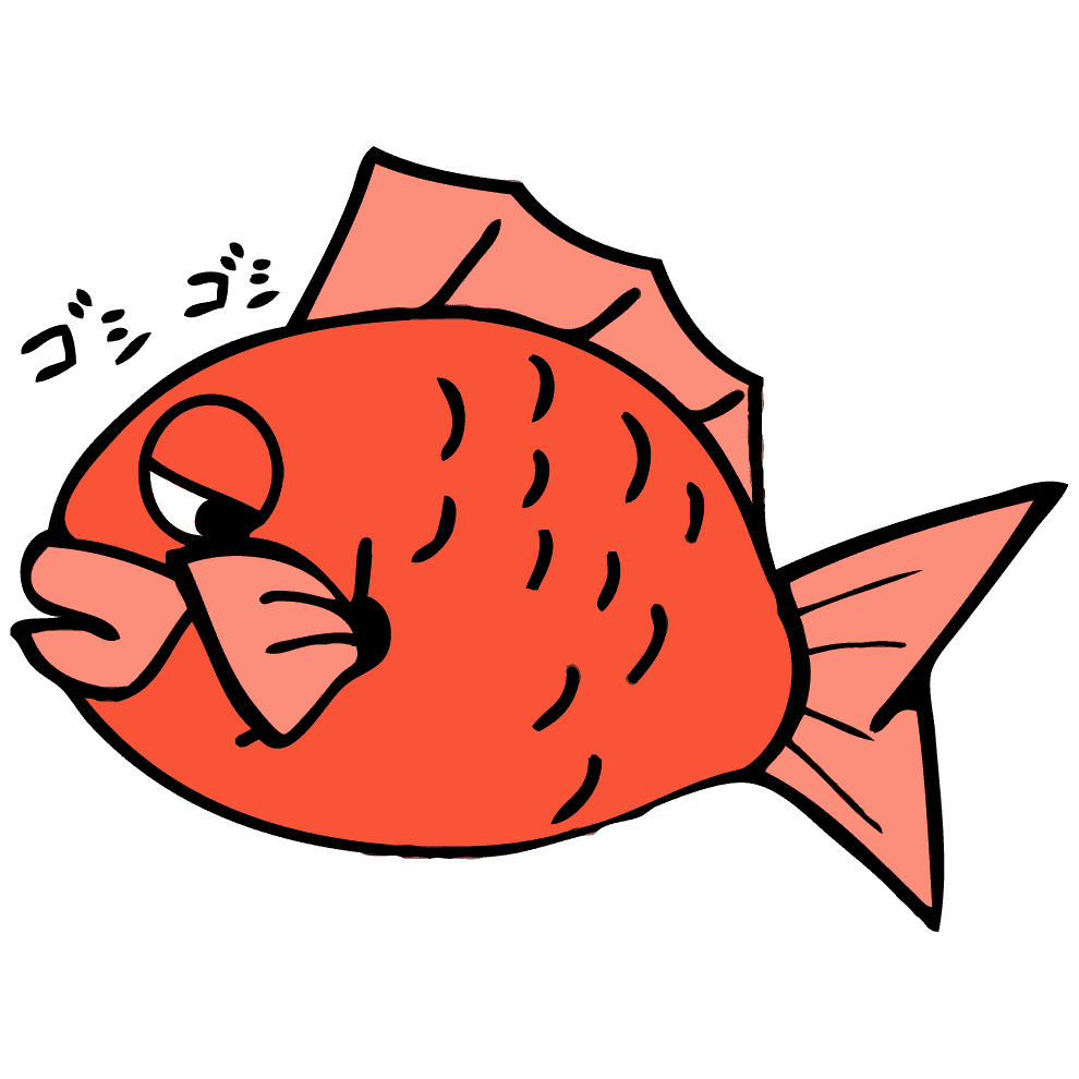 鯛イラスト かわいい リアルタッチの魚フリー無料素材 チコデザ