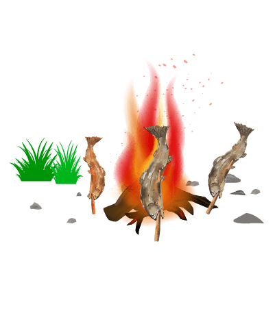 焚き火と焼き魚のイラスト