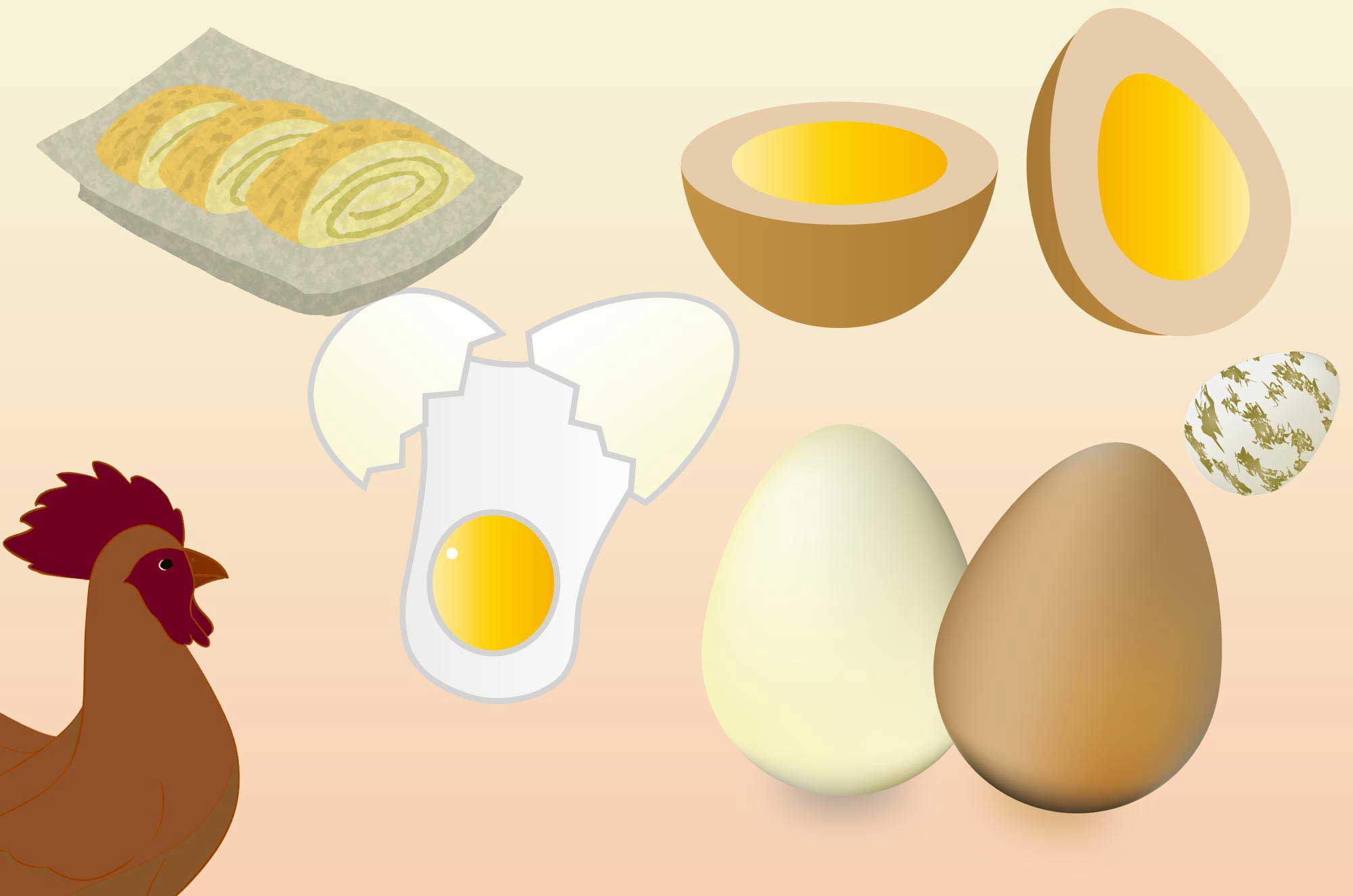 卵のイラスト - 鶏卵・うずら玉子焼き料理の無料素材