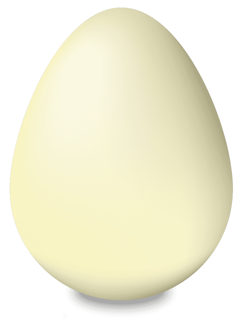 リアルな卵のイラスト