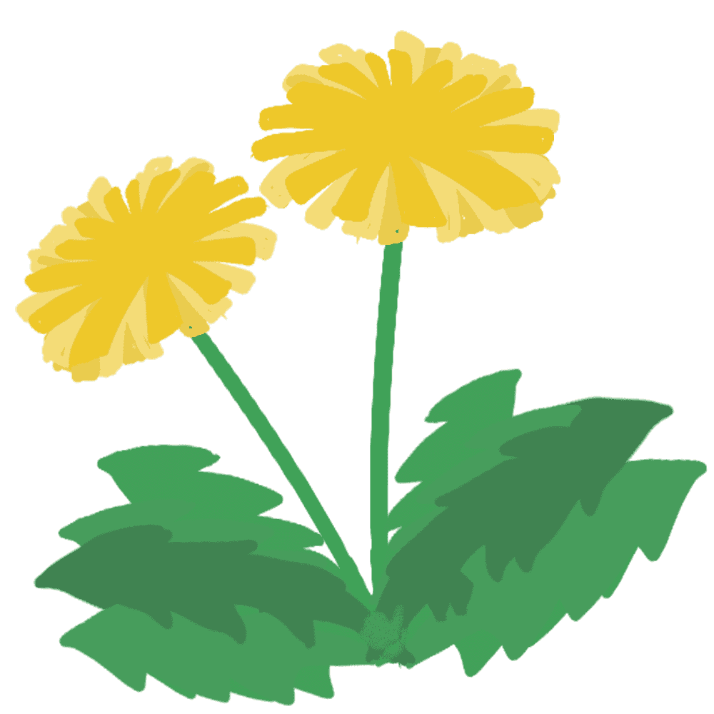 たんぽぽイラスト - 可愛い種と花の無料素材集 - チコデザ