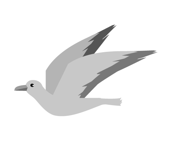 白黒飛ぶ鳥のイラスト