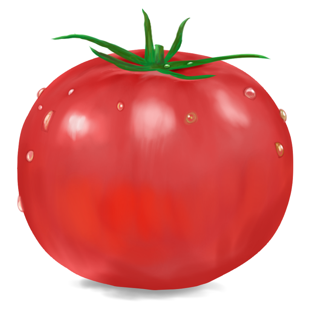 リアルなトマトのイラスト