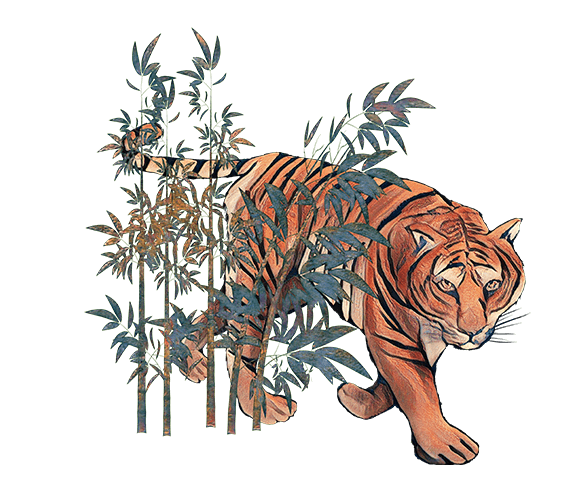 手書きの虎の挿絵のイラスト
