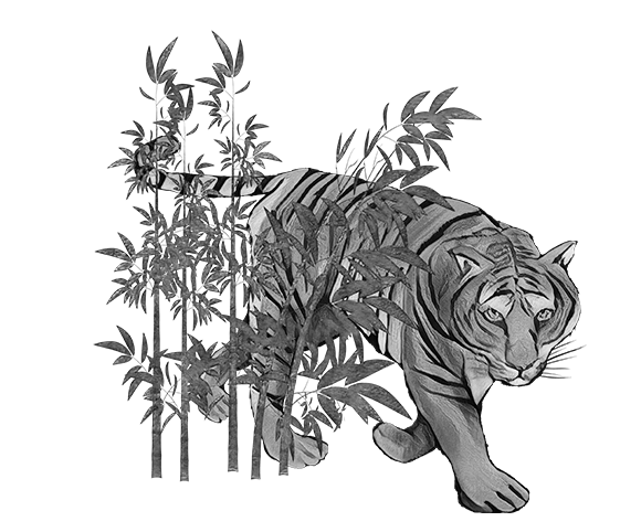手書きの虎の挿絵(白黒)のイラスト