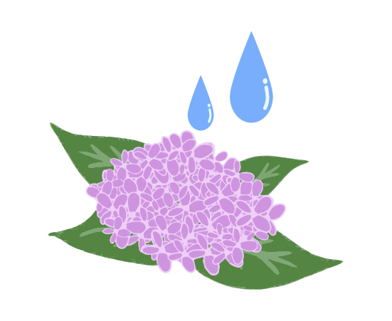 紫陽花と雨のイラスト