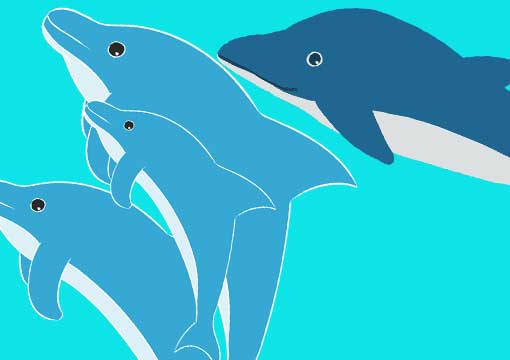 海のイラスト 不思議で可愛い動物 生物の無料素材集 チコデザ